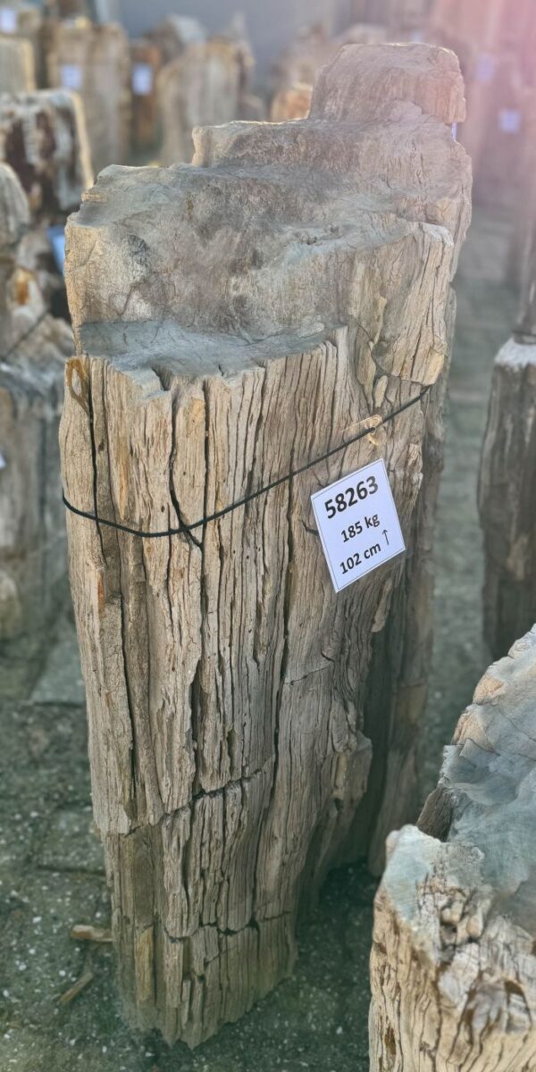 Lápida madera petrificada 58263