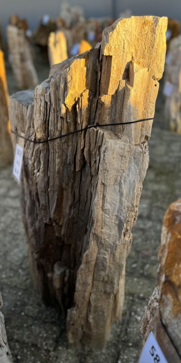 Lápida madera petrificada 58263