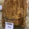 Memorial stone petrified wood 52095