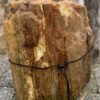Memorial stone petrified wood 52095