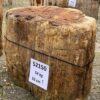 Memorial stone petrified wood 52150