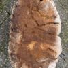 Memorial stone petrified wood 52150