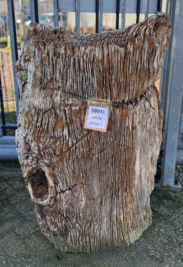 Memorial stone petrified wood 58041