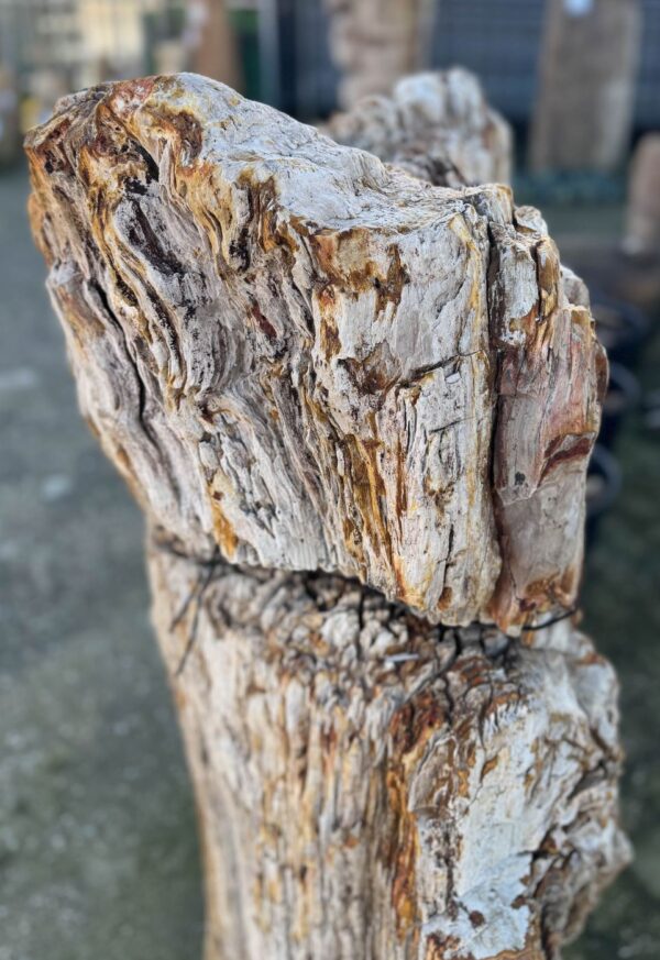 Memorial stone petrified wood 58041