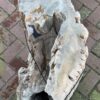 Memorial stone petrified wood 58042