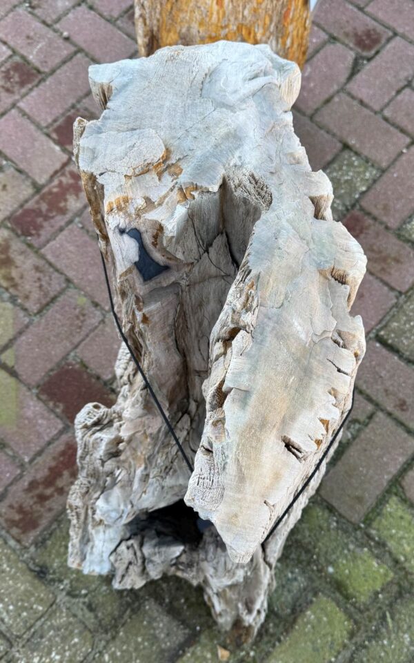 Memorial stone petrified wood 58042