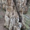 Memorial stone petrified wood 58042