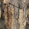 Memorial stone petrified wood 58044