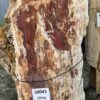 Memorial stone petrified wood 58045