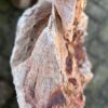 Memorial stone petrified wood 58045