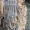Memorial stone petrified wood 58045