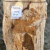 Memorial stone petrified wood 58050