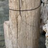 Memorial stone petrified wood 58050