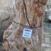 Memorial stone petrified wood 58051