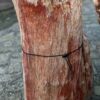 Memorial stone petrified wood 58051