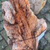 Memorial stone petrified wood 58055