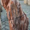 Memorial stone petrified wood 58055
