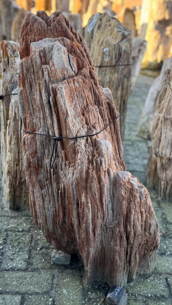 Memorial stone petrified wood 58055