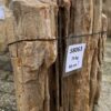 Memorial stone petrified wood 58063