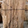 Memorial stone petrified wood 58063