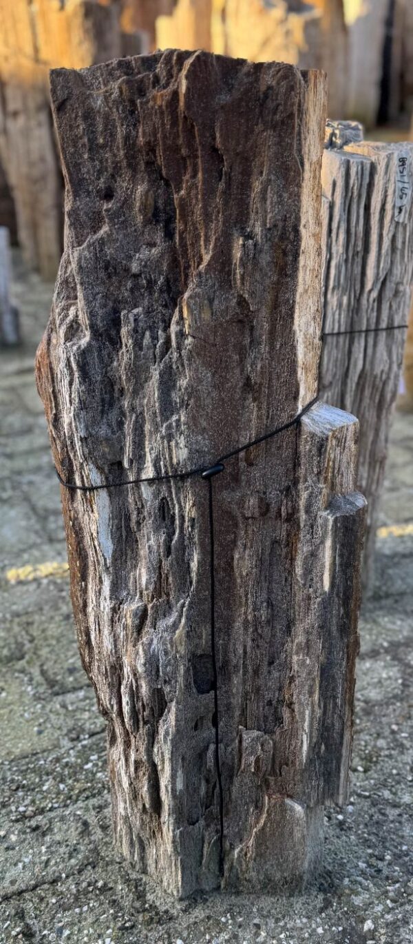 Memorial stone petrified wood 58066