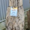 Memorial stone petrified wood 58069
