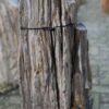 Memorial stone petrified wood 58069