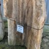 Memorial stone petrified wood 58071