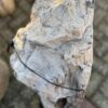 Memorial stone petrified wood 58072