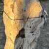 Memorial stone petrified wood 58072