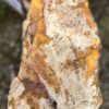 Memorial stone petrified wood 58076