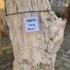 Memorial stone petrified wood 58078