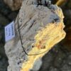 Memorial stone petrified wood 58078