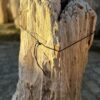 Memorial stone petrified wood 58078