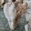 Memorial stone petrified wood 58081