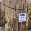 Memorial stone petrified wood 58082