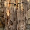 Memorial stone petrified wood 58082