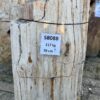 Memorial stone petrified wood 58088