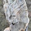Memorial stone petrified wood 58088