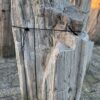 Memorial stone petrified wood 58088