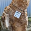 Memorial stone petrified wood 58089
