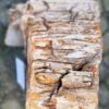 Memorial stone petrified wood 58089
