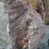 Memorial stone petrified wood 58089