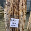 Memorial stone petrified wood 58091