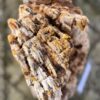 Memorial stone petrified wood 58091