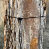 Memorial stone petrified wood 58091
