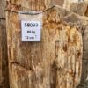 Memorial stone petrified wood 58093