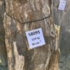Memorial stone petrified wood 58095