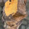Memorial stone petrified wood 58095