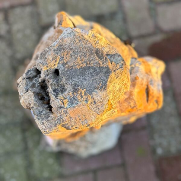 Memorial stone petrified wood 58098